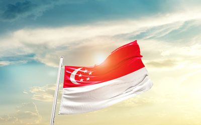 Communicating Public Health to Multilingual Populations: The Example of Singapore