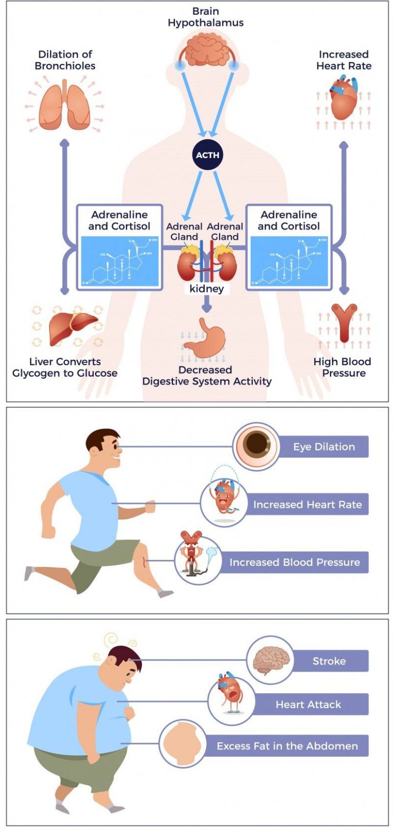 What Does Stress Do To Our Body?