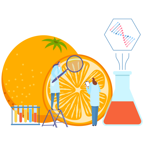 Nutritional biochemical translations